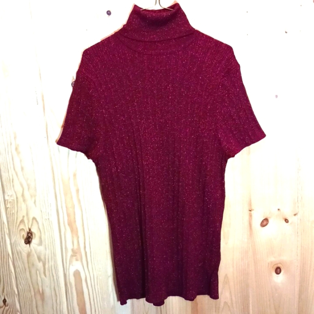Apt.9 Stretchy Sparkly Short Sleeve Turtle Neck Sweater NWT